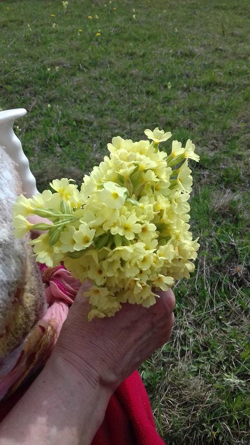 Pensiunea Gentiana 바틀돌니 외부 사진